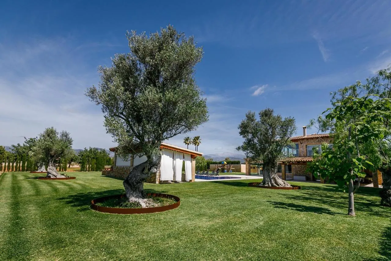 Villa Es Velar Family Suite Binissalem
